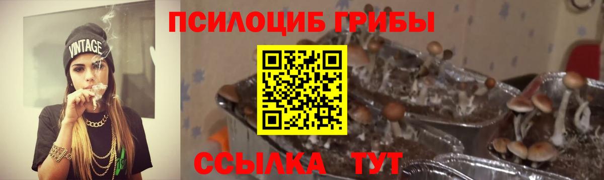 Псилоцибиновые грибы Magic Shrooms Лянтор